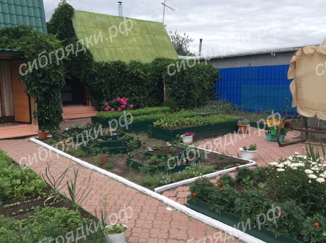 Клумба "Альпийская горка" в Казани Клумба "Альпийская горка" в Казани