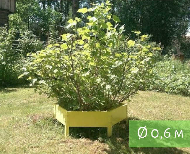 Клумба "Сота" 300 в Казани Клумба "Сота" 300 в Казани